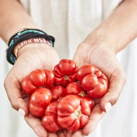 Rodakes Villa Vourvoúlos