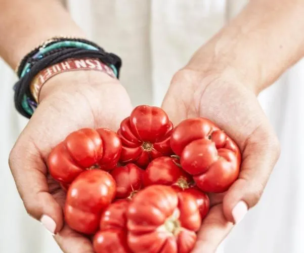 Rodakes Villa Vourvoúlos